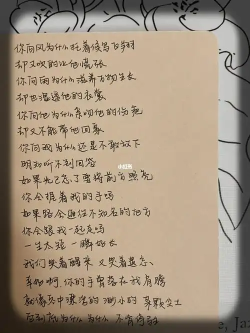 手写歌词无问毛不易