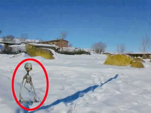 周一搜外来物种_黄金(huangjin)股吧_东方财富网股吧