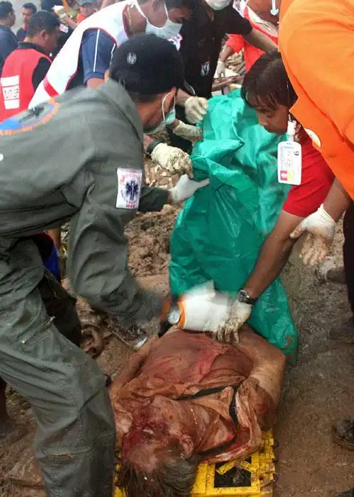 泰客机撞墙 88乘客遇难