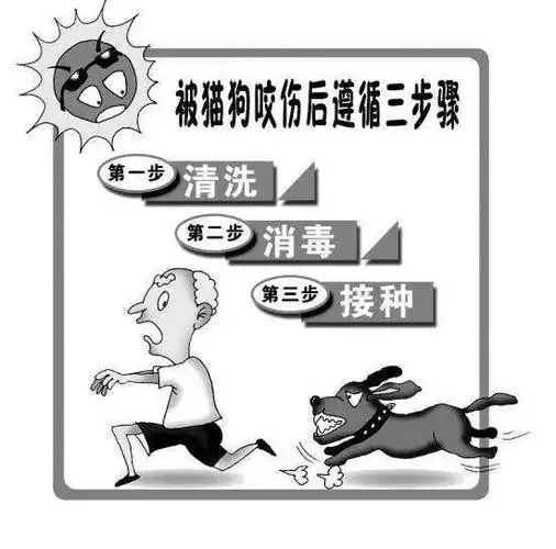 被狗咬后的处理方法.