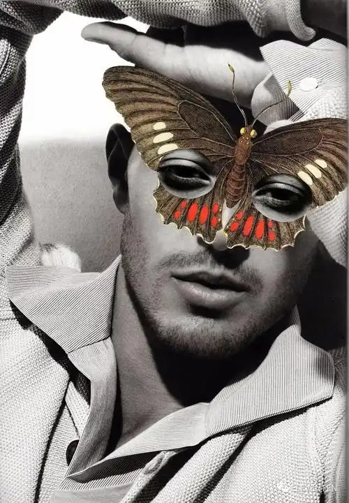 拼贴艺术家lynn skordal,创造超现实的达达主义拼贴世界. - 知乎