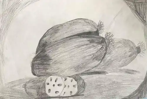 素描静物儿童画