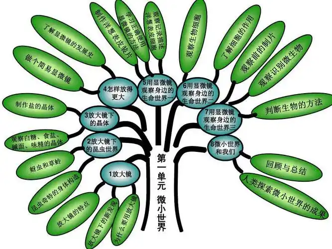 [皇寺中心]合众力采众长 思维导图指方向