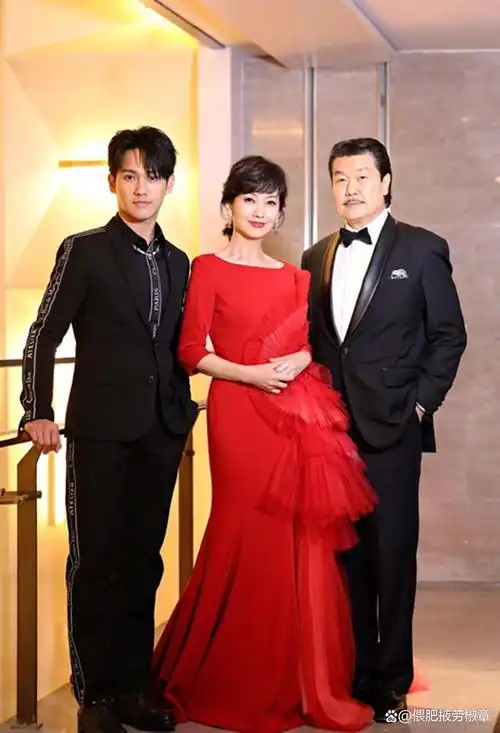 赵雅芝的3个麒麟子小儿子继承衣钵长子次子个个都让她骄傲