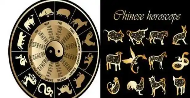 澳门一码一肖(澳门一肖一码生肖说明)