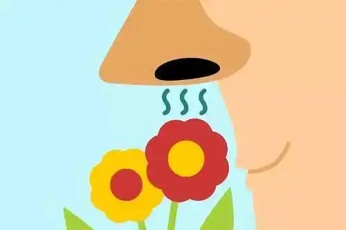 注意警惕鼻部出现的早期症状避免疾病拖延