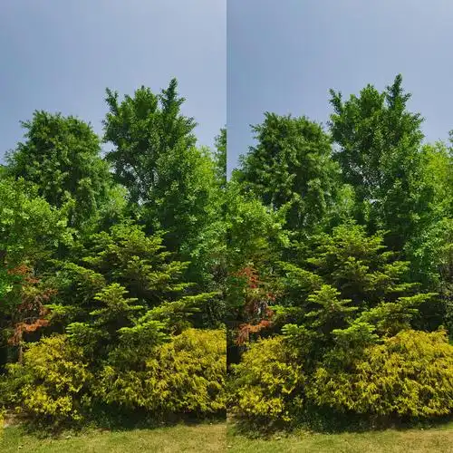 裸眼3d作品集第33期用平行眼技巧就能看到立体感的画面哦