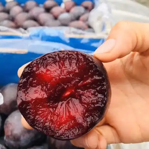 澳洲女王胭脂李红肉李子红恐龙蛋纯甜不酸当季新鲜水果【速运】 精品