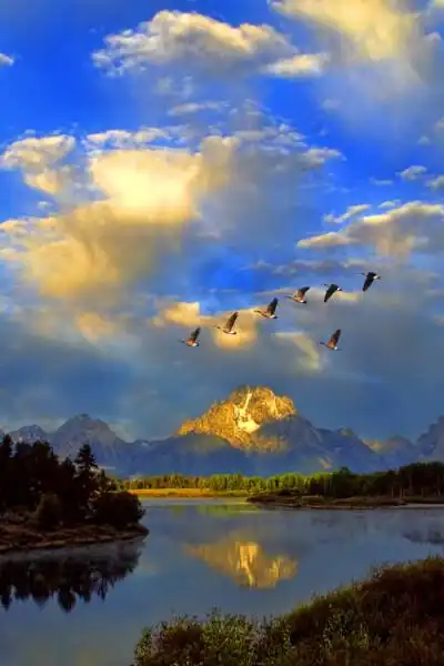 唯美 小清新 治愈 大气磅礴 摄影 人物 植物 怀旧 封面 风景