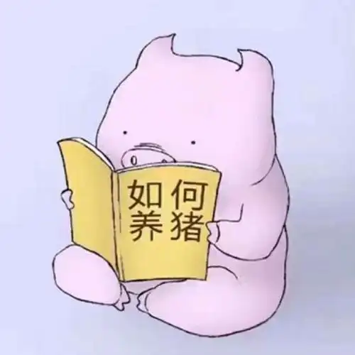 如何养猪图片头像