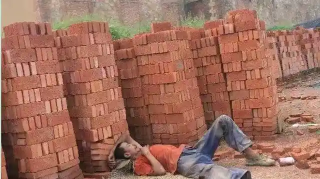 做农民搬砖最辛苦!谢谢大叔愿意上镜!