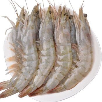 【活鲜】御食之鲜 海白虾鲜活 新鲜大虾 海鲜水产活虾 500g 30只左右