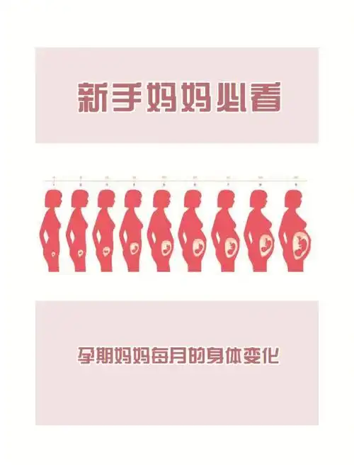 怀孕10个月的身体变化你都经历了吗