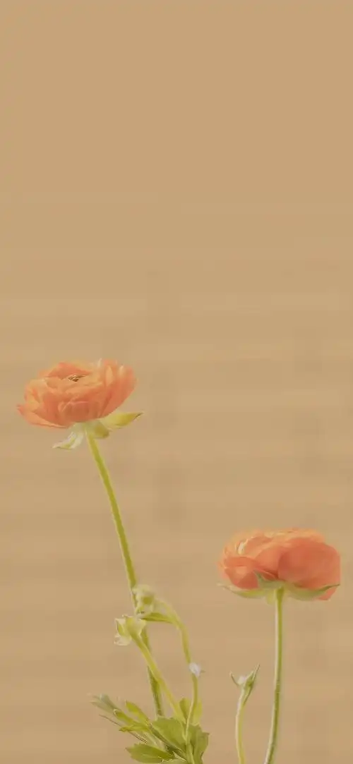 壁纸 | 2021手机壁纸安排一组