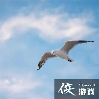 会带来好运的微信头像男生