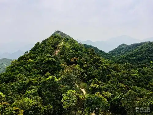 南方的山温柔 深圳【田心山】水祖坑—金龟村 脚印-17