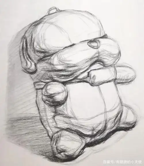 素描静物———毛绒质感技法解析