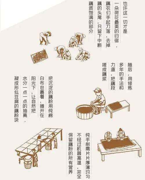 新品佳藕天成手削古法纯藕粉礼盒装250g西湖藕粉无