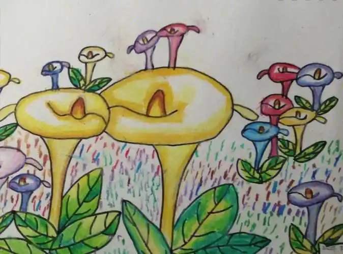 学生们学画花卉系列之牵牛花