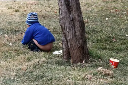 北京,陶然亭公园厂甸庙会,一些家长让孩子在草坪上大小便