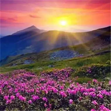 2023最旺好运图片头像 招贵人招财的2023好运爆棚图片头像