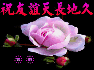 赞美别人的经典语录人生中要学会多去赞美别人写的真好受益终生值得