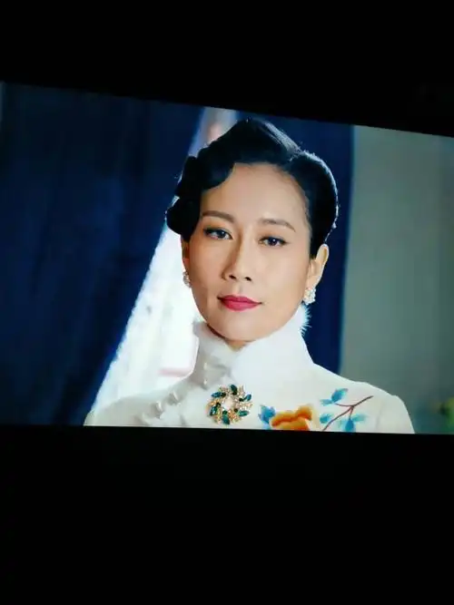 电视剧剧照视频特写(温峥嵘4)