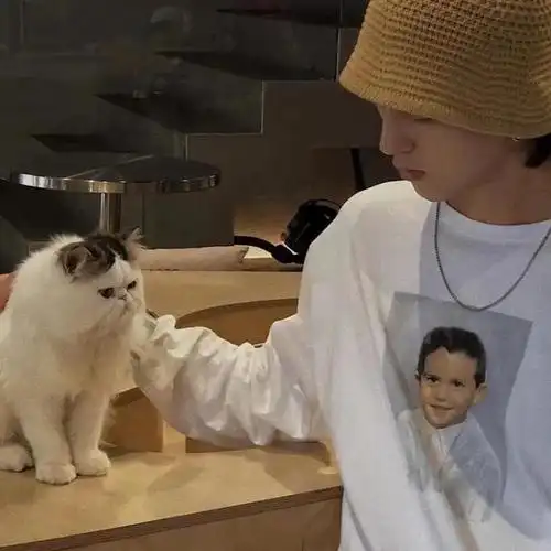 男生头像抱猫
