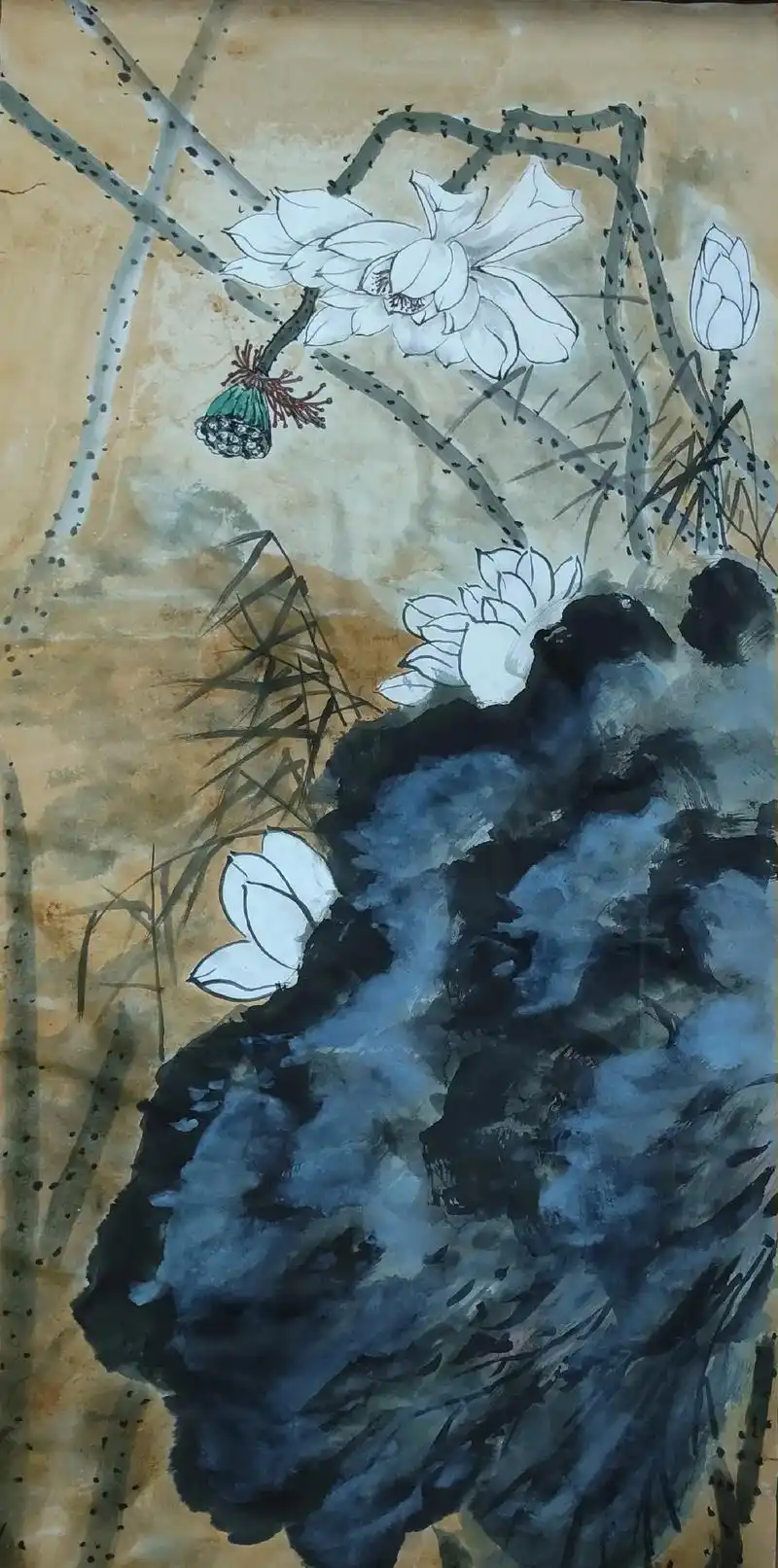 想画就画 #记录生活 #中国画 看取莲花净方知不染心的 - 抖音