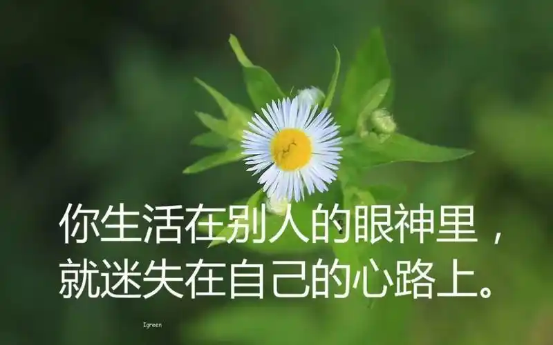 经典名言名句人生哲理(名人名言语录摘抄)