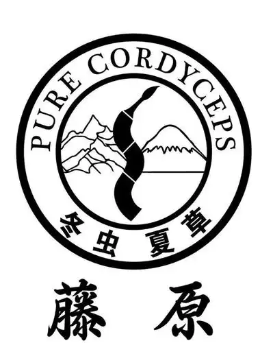 藤原 冬虫夏草 pure cordyceps商标公告