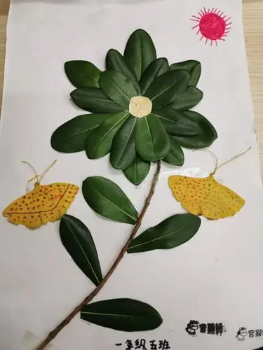 一(5)班孩子的树叶粘贴画