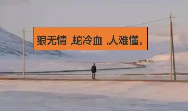 社会上的人说话和做事无情冷血,狼无情,蛇冷血,人难懂