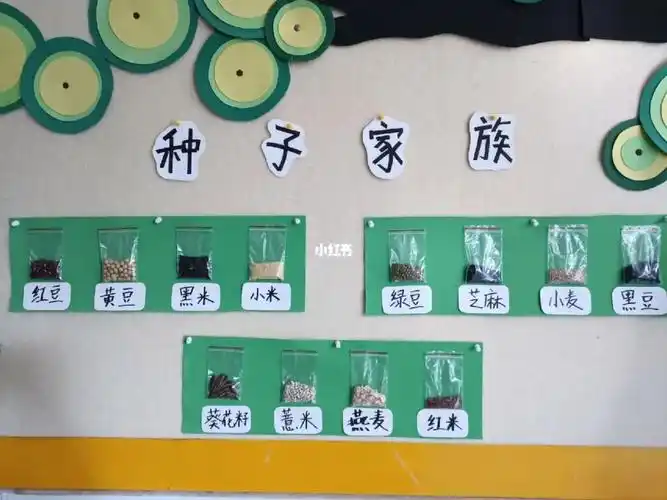幼儿园背景墙环创种子家族