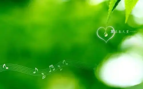 小清新简约风格,高清壁纸图片,五颜六色-回车桌面