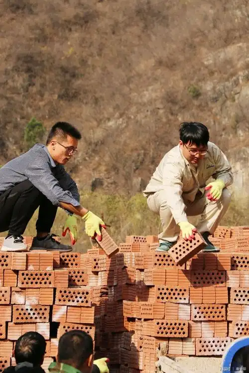 这群搬砖的年轻人即将搬出一片粉红田野