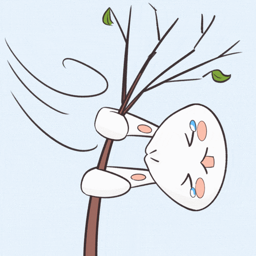 上海刚刚发布大风蓝色预警!