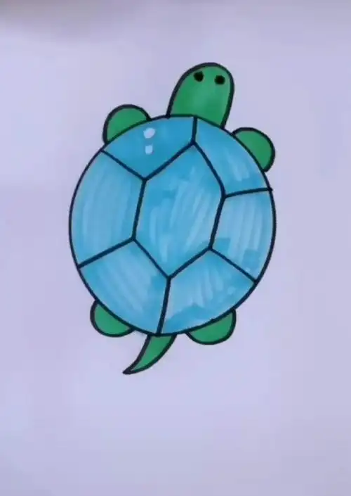 今天老师把小乌龟请到咱们班来做客了,大家一起来看看小乌龟,它长的