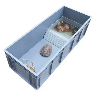 黄缘盒龟饲养箱半水龟养殖箱安缘龟箱台缘龟箱仿生态爬宠箱陆龟箱