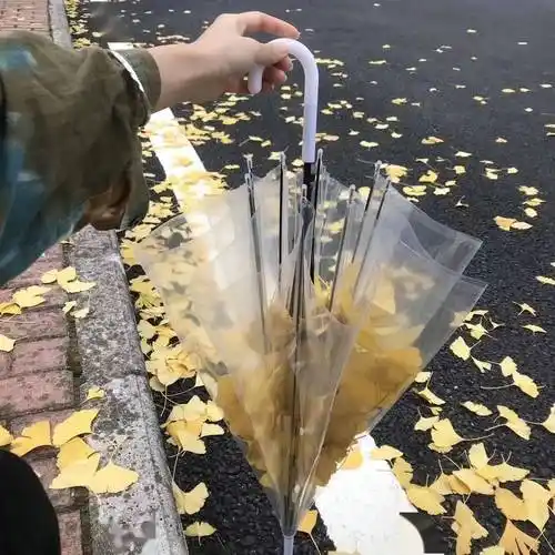 你要的微信朋友圈封面来了,个性又好看!_图片_芝麻_风格