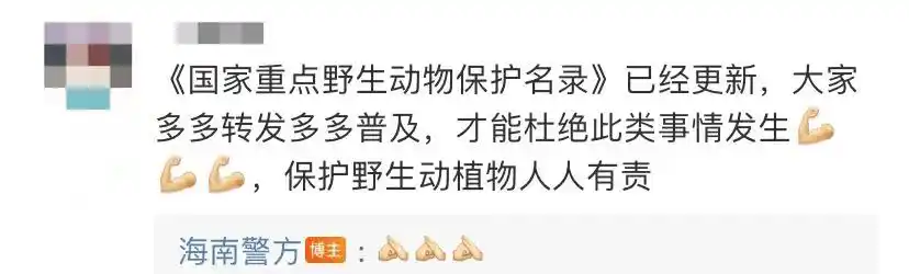 海南警方就"美食博主食用国家二级保护动物法螺"发布通报:琼海警方