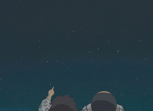 起风了堀越二郎里见菜穗子动漫二次元看流星夜晚gif动图_动态图_表情