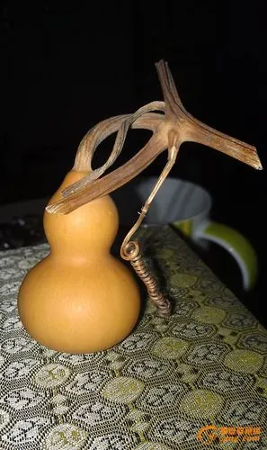 手捻葫芦 绝对的极品中的极品 万里挑一 千里难寻 孤品