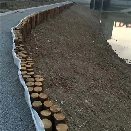 杉木桩 河道松木桩 打桩木批发 港口直发