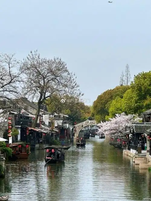 周末去哪儿##西塘##江南