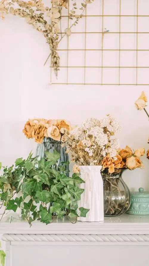 暖色系家居静物手机壁纸图片