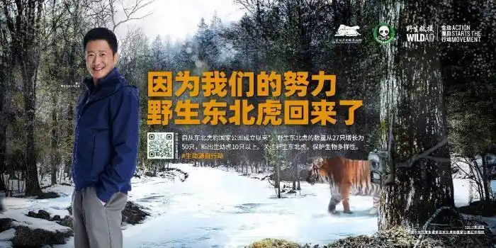 保护野生东北虎宣传片发布公益大使吴京为巡护员代言