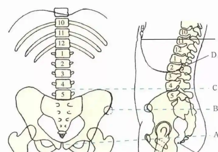 体表定位标志总结
