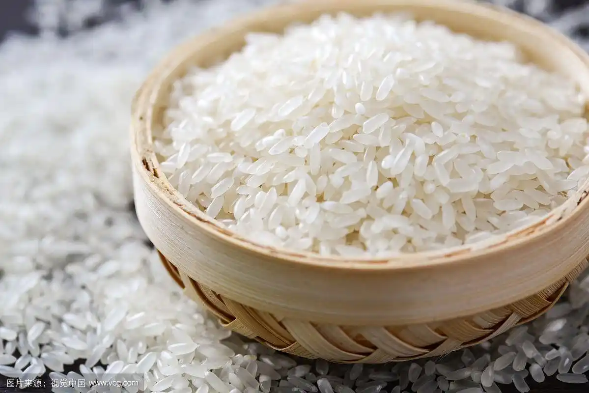 大米米粒特写