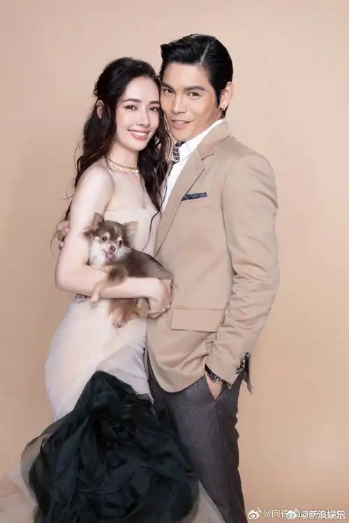 向佐维护郭碧婷##向佐 你们凭什么说郭碧婷##miss回应团队背刺郭碧婷